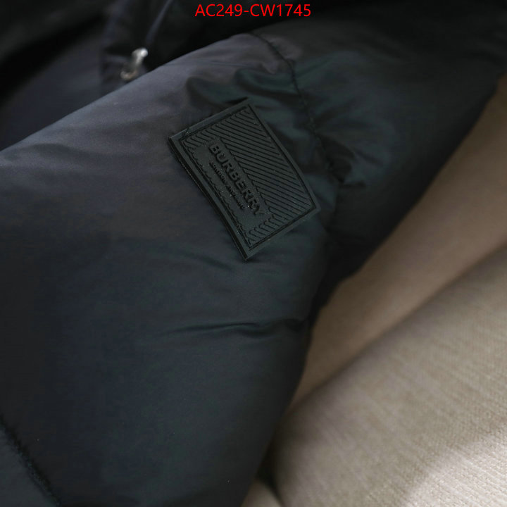 Down jacket Women-Burberry,where to buy replicas , ID: CW1745,$: 249USD