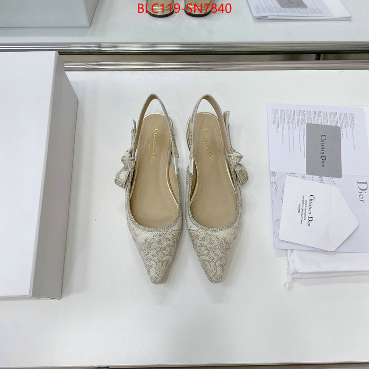 Women Shoes-Dior,replica designer , ID: SN7840,$: 119USD