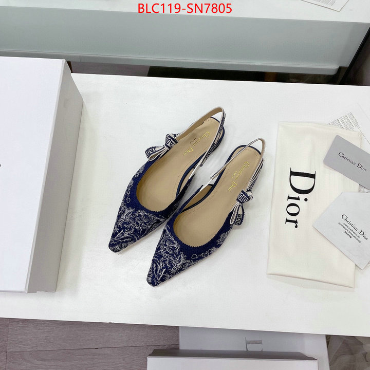 Women Shoes-Dior,the top ultimate knockoff , ID: SN7805,$: 119USD