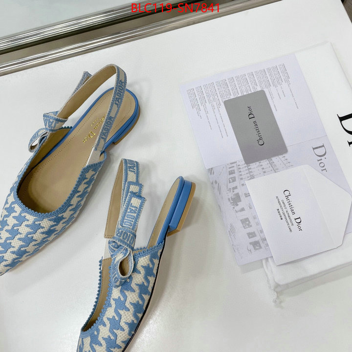 Women Shoes-Dior,outlet 1:1 replica , ID: SN7841,$: 119USD