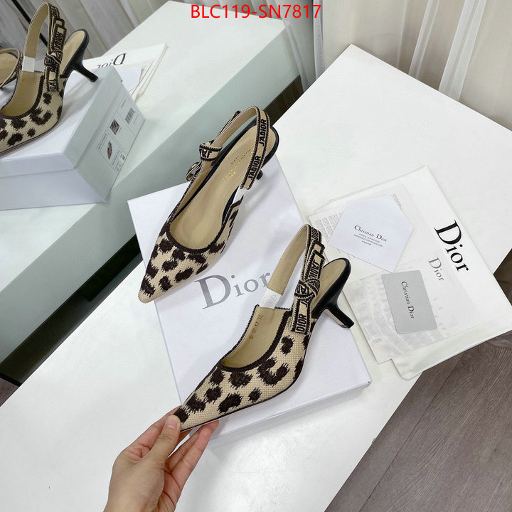 Women Shoes-Dior,top quality fake , ID: SN7817,$: 119USD