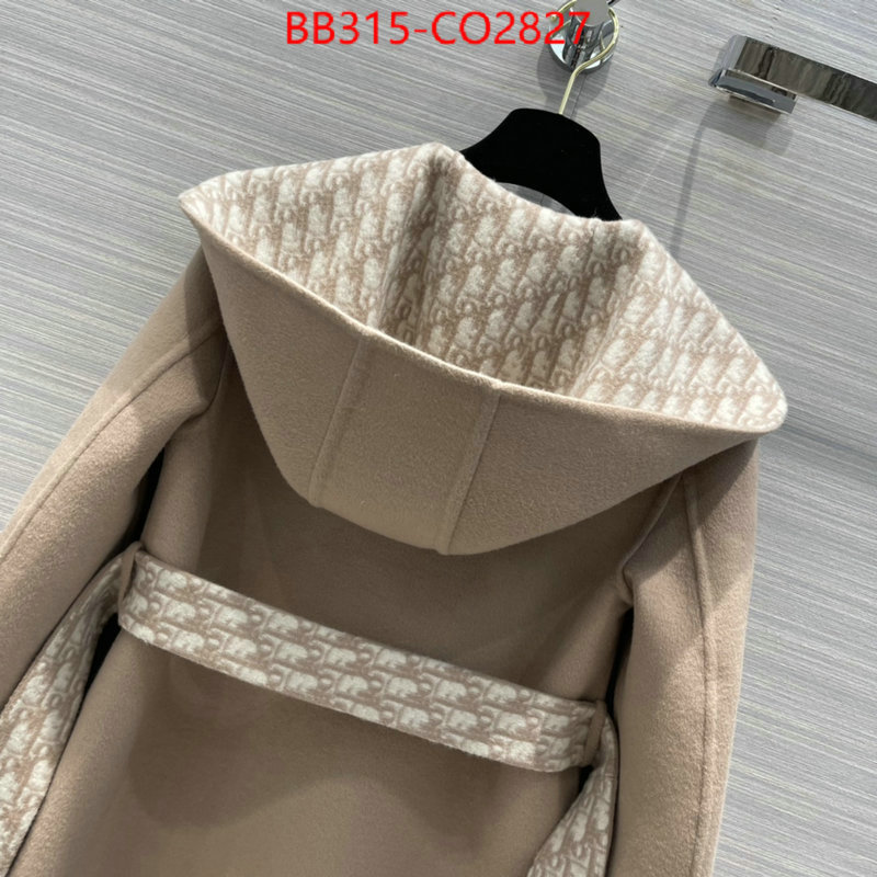 Down jacket Women-Dior,cheap wholesale , ID: CO2827,$: 315USD