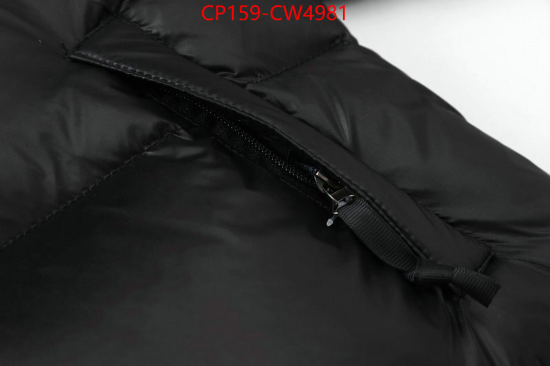 Down jacket Women-The North Face,where can you buy replica , ID: CW4981,$: 159USD