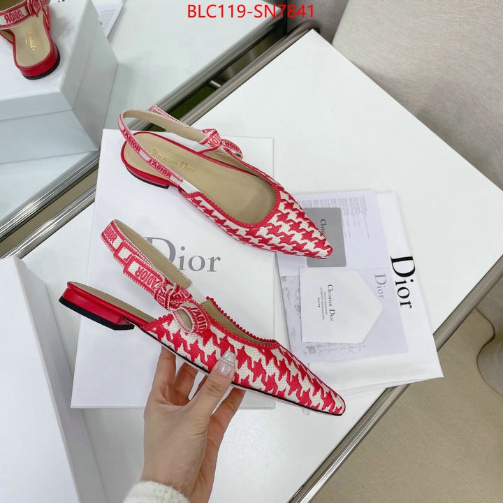 Women Shoes-Dior,outlet 1:1 replica , ID: SN7841,$: 119USD