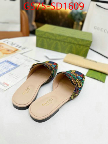 Women Shoes-Gucci,best knockoff , ID: SD1609,$: 75USD