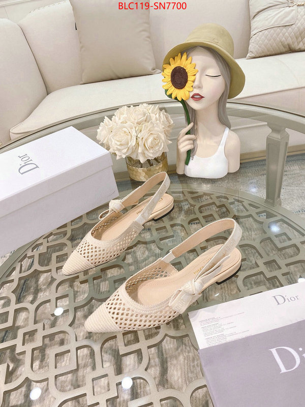 Women Shoes-Dior,sell online luxury designer , ID: SN7700,$: 119USD