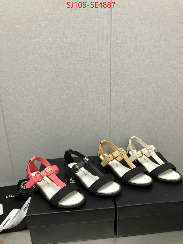 Women Shoes-Chanel,store , ID: SE4887,$: 109USD