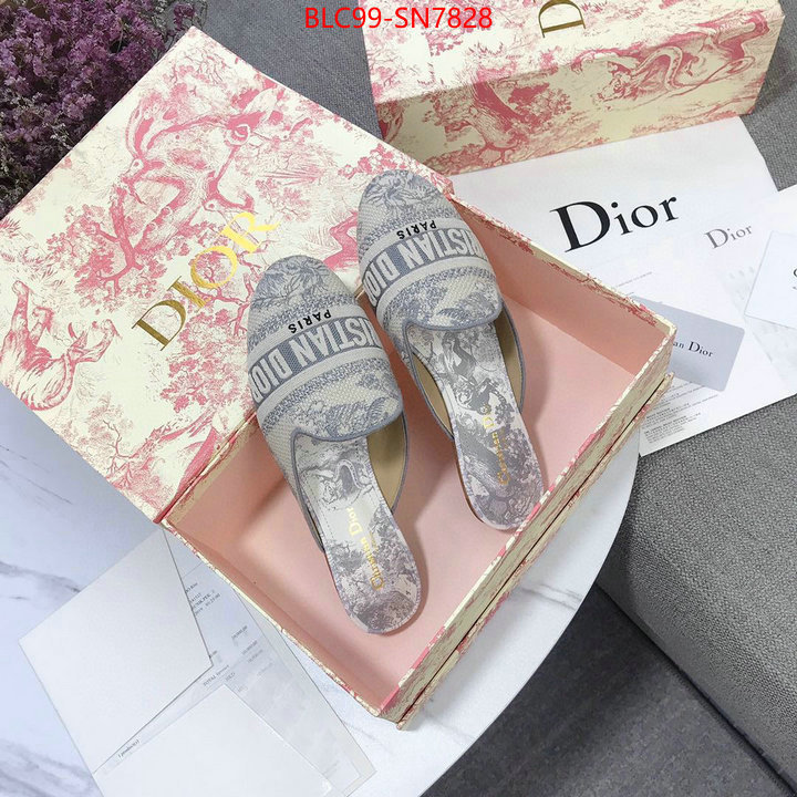 Women Shoes-Dior,1:1 replica wholesale , ID: SN7828,$: 99USD