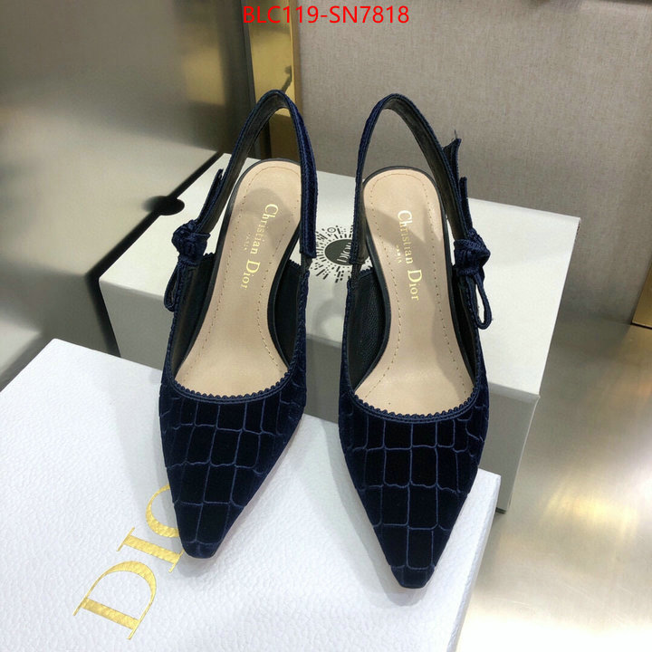 Women Shoes-Dior,aaaaa+ quality replica , ID: SN7818,$: 119USD