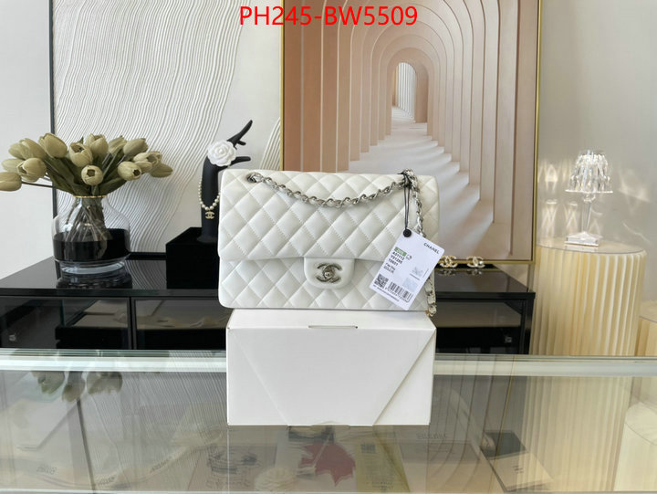 Chanel Bags(TOP)-Diagonal-,ID: BW5509,$: 245USD