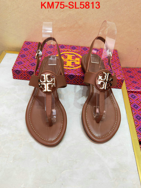 Women Shoes-Tory Burch,aaaaa+ replica , ID: SL5813,$: 75USD