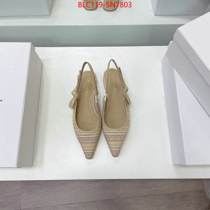 Women Shoes-Dior,replica designer , ID: SN7803,$: 119USD