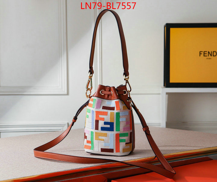 Fendi Bags(4A)-Mon Tresor-,shop designer replica ,ID: BL7557,$: 79USD