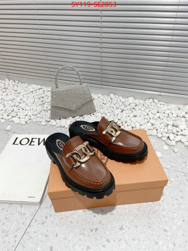 Women Shoes-Tods,top fake designer ,high quality replica designer , ID: SE2853,$: 119USD