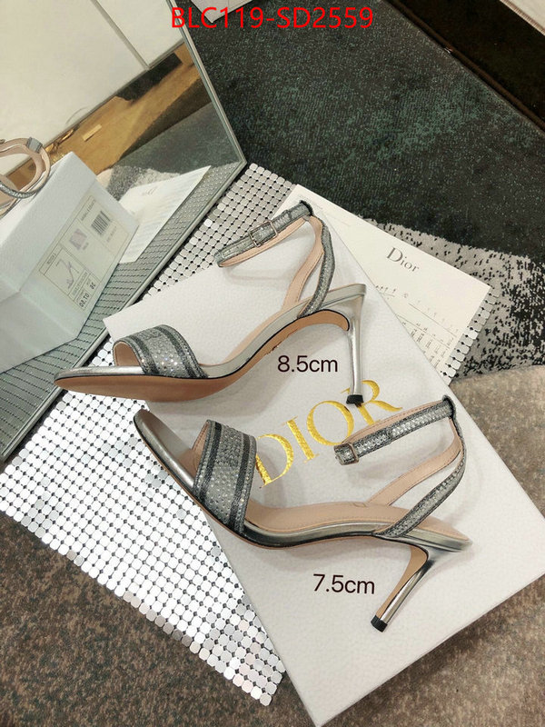 Women Shoes-Dior,is it ok to buy , ID: SD2559,$: 119USD