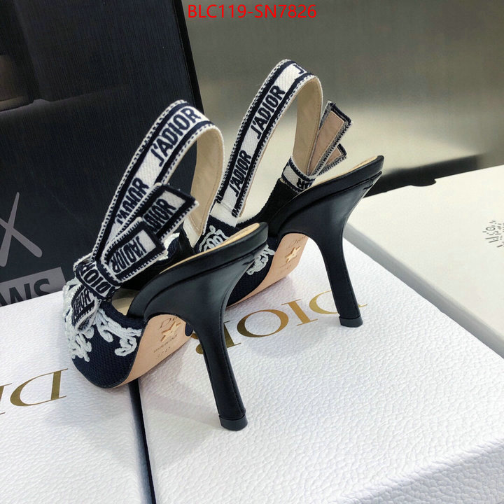 Women Shoes-Dior,buy first copy replica , ID: SN7826,$: 119USD
