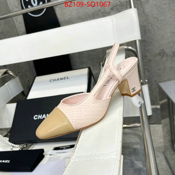 Women Shoes-Chanel,brand designer replica , ID: SO1067,$: 109USD