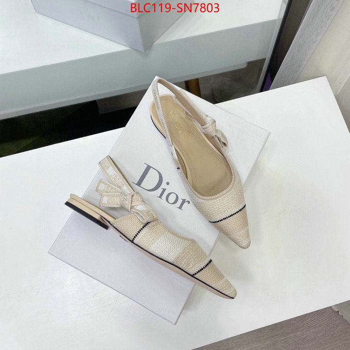 Women Shoes-Dior,replica designer , ID: SN7803,$: 119USD