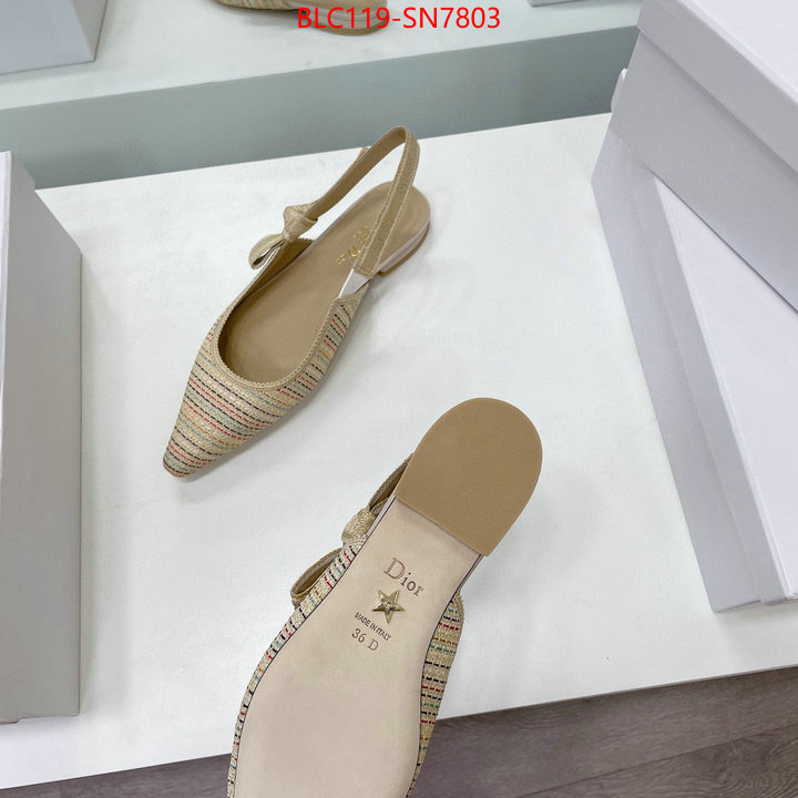 Women Shoes-Dior,replica designer , ID: SN7803,$: 119USD