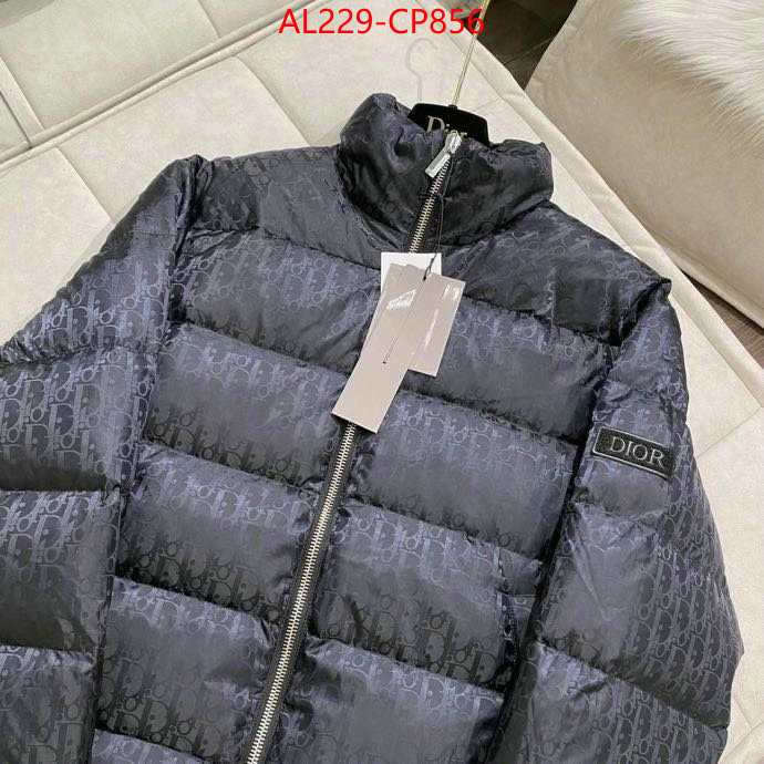 Down jacketMen-Dior,we offer , ID: CP856,$: 229USD