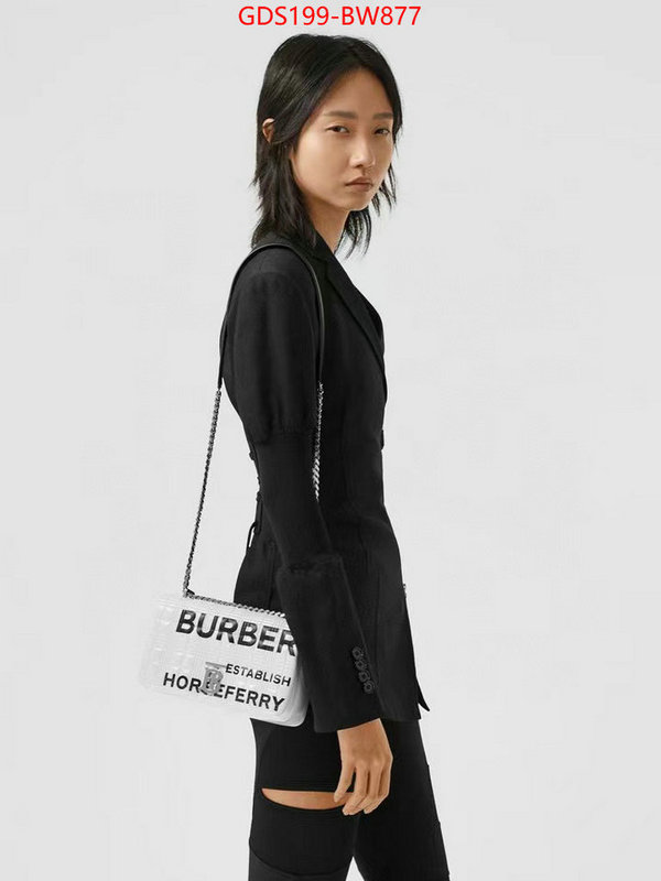 Burberry Bags(TOP)-Diagonal-,replicas buy special ,ID: BW877,$: 199USD