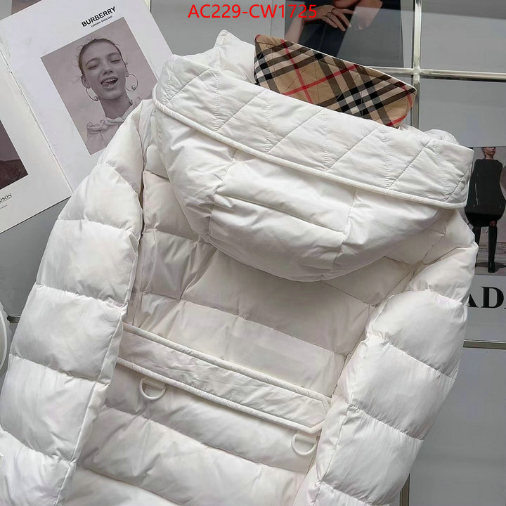 Down jacket Women-Burberry,how to start selling replica , ID: CW1725,$: 229USD
