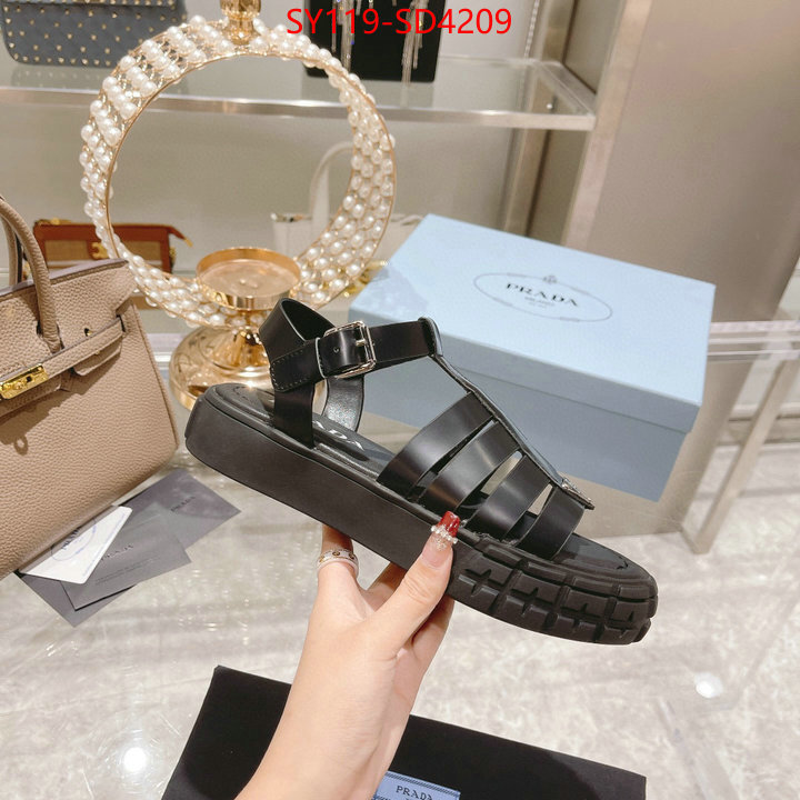 Women Shoes-Prada,fashion designer , ID: SD4209,$: 119USD