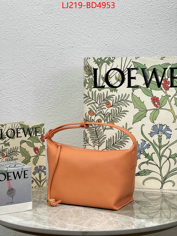 Loewe Bags(TOP)-Cubi,we provide top cheap aaaaa ,ID: BD4953,$: 219USD
