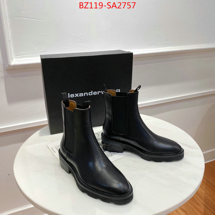 Women Shoes-Alexander Wang,good quality replica , ID:SA2757,$:119USD