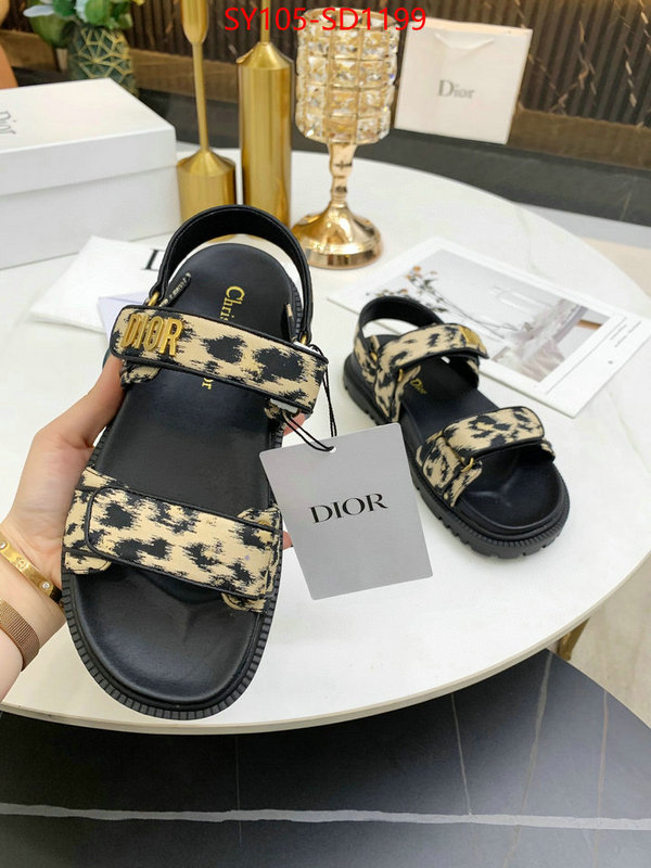 Women Shoes-Dior,online from china designer , ID: SD1199,$: 105USD