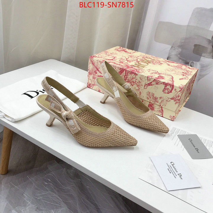 Women Shoes-Dior,shop cheap high quality 1:1 replica , ID: SN7815,$: 119USD