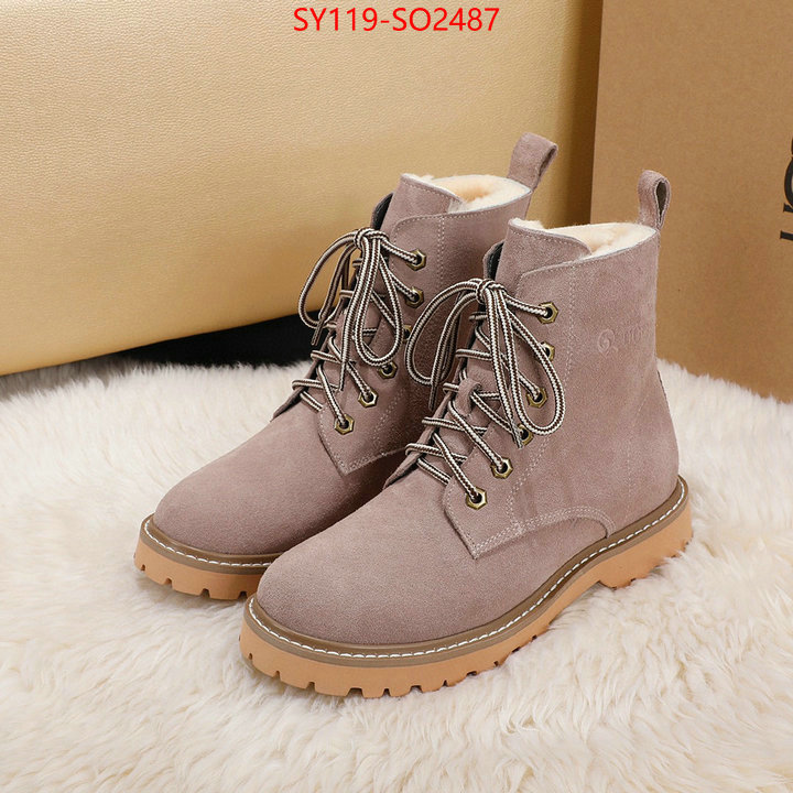 Women Shoes-UGG,buy replica , ID: SO2487,$: 119USD