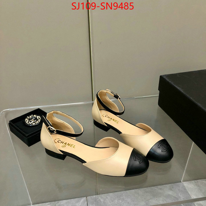 Women Shoes-Chanel,perfect replica , ID: SN9485,$: 109USD