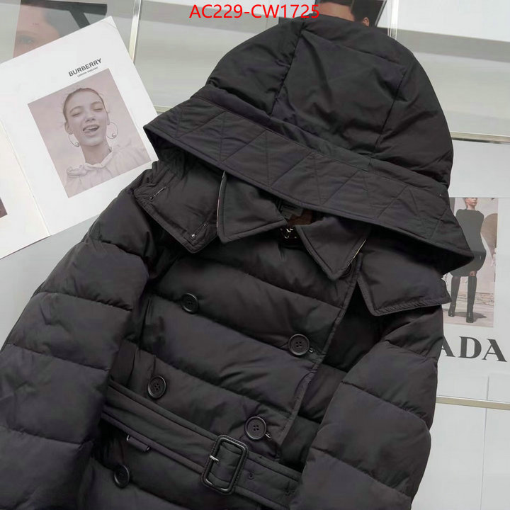 Down jacket Women-Burberry,how to start selling replica , ID: CW1725,$: 229USD