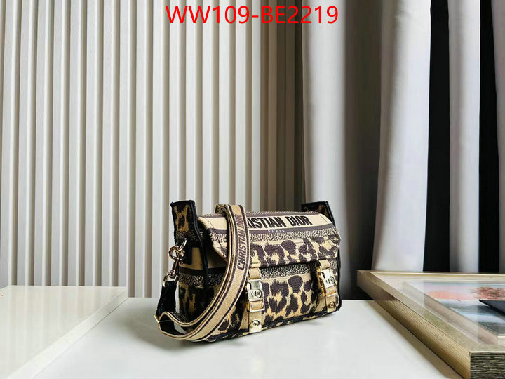 Dior Bags(TOP)-Other Style-,ID: BE2219,$: 109USD