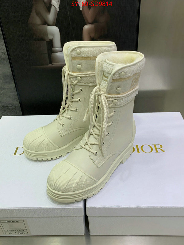 Women Shoes-Dior,is it ok to buy , ID: SD9814,$: 169USD