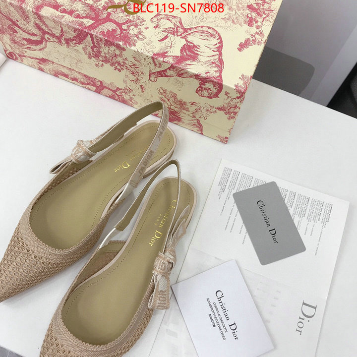 Women Shoes-Dior,shop designer replica , ID: SN7808,$: 119USD