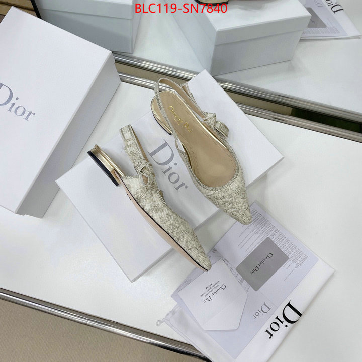 Women Shoes-Dior,replica designer , ID: SN7840,$: 119USD