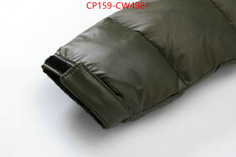 Down jacket Women-The North Face,where can you buy replica , ID: CW4981,$: 159USD