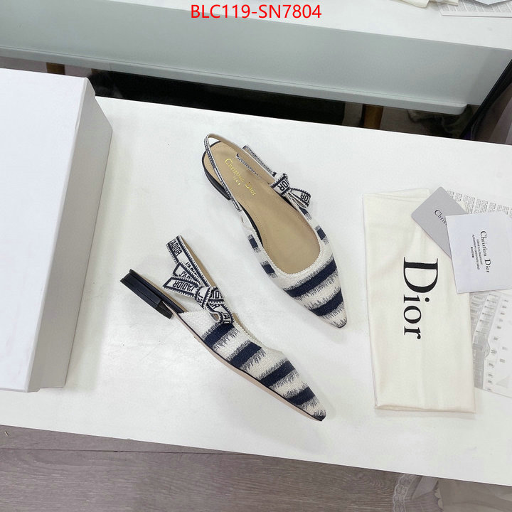 Women Shoes-Dior,wholesale designer shop , ID: SN7804,$: 119USD