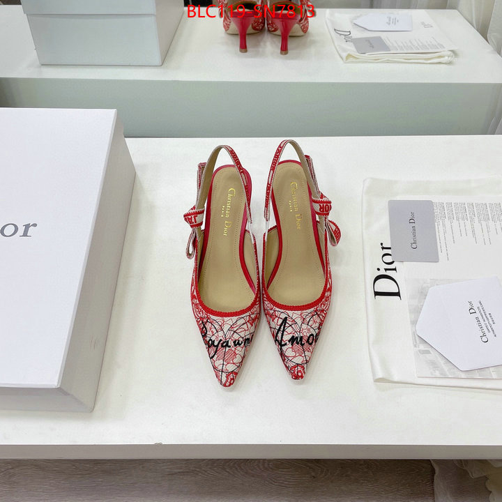 Women Shoes-Dior,designer wholesale replica , ID: SN7813,$: 119USD