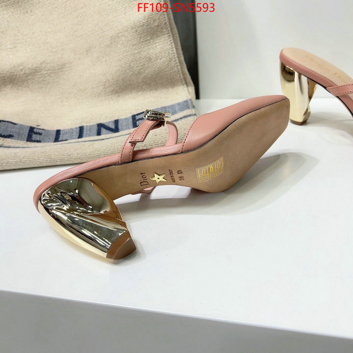 Women Shoes-Dior,designer 7 star replica , ID: SN5593,$: 109USD