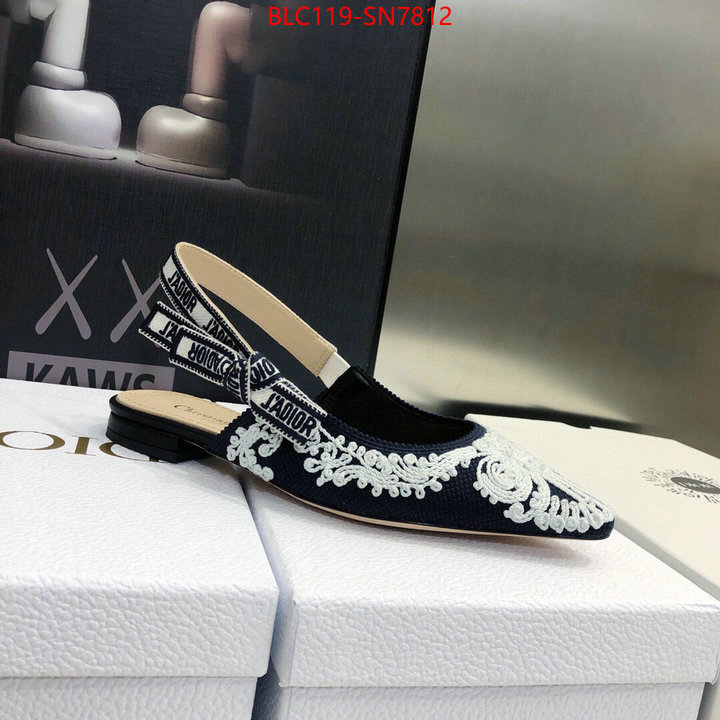 Women Shoes-Dior,buy replica , ID: SN7812,$: 119USD