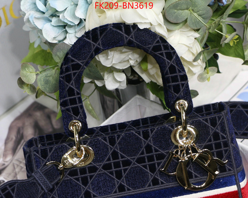 Dior Bags(TOP)-Lady-,ID: BN3619,$: 209USD