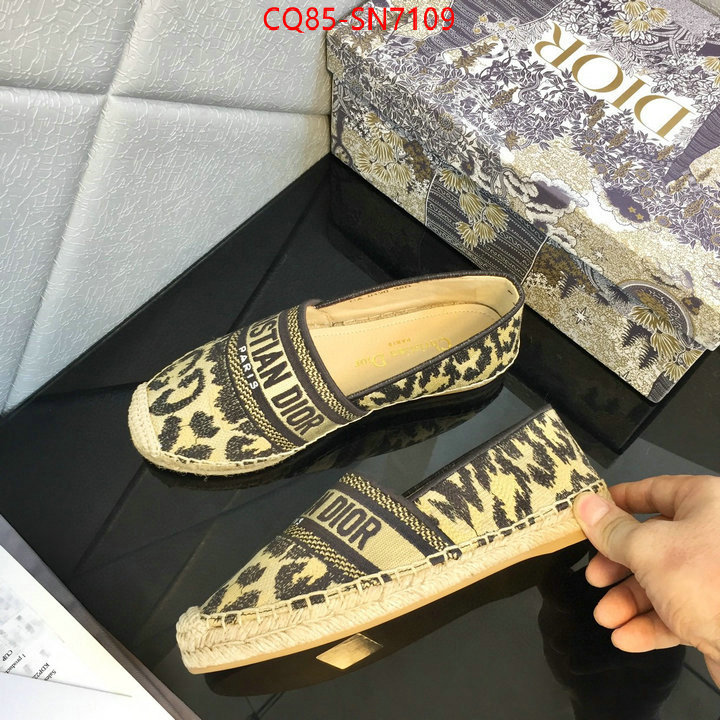 Women Shoes-Dior,online from china , ID: SN7109,$: 85USD