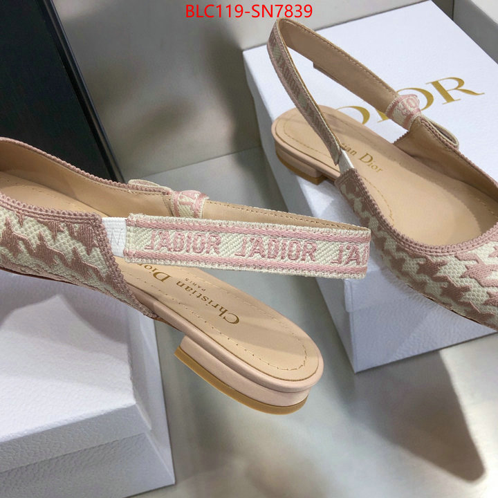 Women Shoes-Dior,how to start selling replica , ID: SN7839,$: 119USD