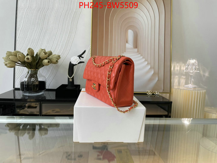 Chanel Bags(TOP)-Diagonal-,ID: BW5509,$: 245USD