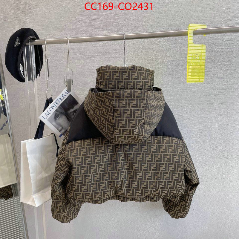 Down jacket Women-Fendi,where can i buy the best quality , ID: CO2431,$: 169USD