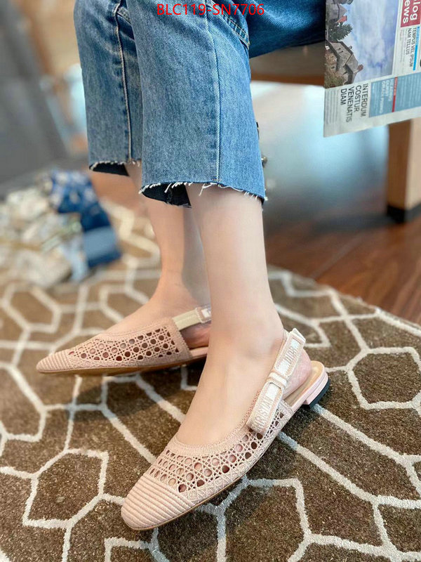 Women Shoes-Dior,practical and versatile replica designer , ID: SN7706,$: 119USD