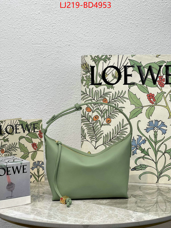 Loewe Bags(TOP)-Cubi,we provide top cheap aaaaa ,ID: BD4953,$: 219USD